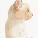 Mi Proyecto del curso: Ilustración científica de animales en acuarela. Un proyecto de Ilustración tradicional, Pintura a la acuarela, Dibujo realista e Ilustración naturalista				 de Sandra Amelines - 05.09.2021
