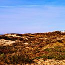 O Nórdico. Un projet de Écriture, Créativité, Stor, telling, Narration, Écriture de non-fiction , et Écriture créative de JP Cruz - 25.08.2021