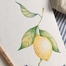 Exercícios de lápis de cor. Projekt z dziedziny Trad, c i jna ilustracja użytkownika Clara Amarante - 06.09.2021