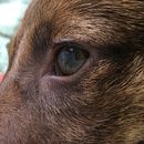 Desde otra mirada . Fotografi proyek oleh Yessica Plata Vasquez - 04.21.2020