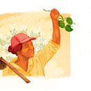 Cerveja Senhora Hop. Traditional illustration, and Design project by Lara Marx - 09.07.2021