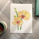 Mi Proyecto del curso: Acuarela botánica: ilustra la anatomía de las flores. Projekt z dziedziny Trad, c, jna ilustracja,  Sztuki piękne,  Malarstwo,  R, sunek, Malowanie akwarelą, R i sunek botaniczn użytkownika Antonela Rabbione - 07.09.2021