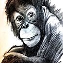 Animals in black. Un projet de Illustration traditionnelle, Dessin, Dessin au cra, on , et Dessin réaliste de Silvia Roukens - 08.09.2021