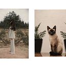 Elegancia felina . Projekt z dziedziny Fotografia użytkownika Manuel Gamboa - 09.09.2021