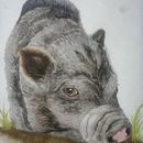 My project in Expressive Animal Portraits in Watercolor course. Traditional illustration, Watercolor Painting, Realistic Drawing, and Naturalistic Illustration project by Diane Rasmusson - 09.12.2021