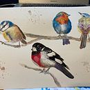 My project in Artistic Watercolor Techniques for Illustrating Birds course. Un progetto di Illustrazione tradizionale, Pittura ad acquerello, Disegno realistico e Illustrazione naturalistica di laketrek - 10.09.2021