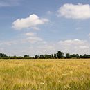 steps to take. Een project van Fotografie van Zoë De Pelsmaeker - 24.06.2021