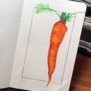 Happy lil Carrot. Desenho a lápis projeto de Lauren - 10.07.2020