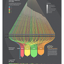 Il mio progetto del corso:  Visualizzazione di dati per progetti editoriali. Een project van Redactioneel ontwerp, Informatieontwerp y  Infographics van Martina Dossi - 11.09.2021