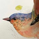 Magic Bird. Traditional illustration project by Acácio Santos Rio - 01.15.2021