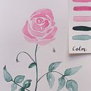 Aquarelles florales. Traditional illustration, Fine Arts, Painting, Drawing, Watercolor Painting, Botanical Illustration, and Photograph project by Mathilde Troussard - 09.14.2021