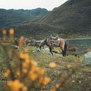 Mi Proyecto del curso: Fotografía de paisaje y naturaleza. Un proyecto de Fotografía, Fotografía en exteriores, Fotografía para Instagram, Fotografía documental y Composición fotográfica de Solanger Mendoza - 14.09.2021