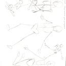 Mi Proyecto del curso: Dibujo anatómico para principiantes. Projekt z dziedziny  Sztuki piękne, Sketching, R, sunek ołówkiem,  R, sunek, R, sunek realist, czn, R i sunek anatomiczn użytkownika Camila Peñafiel - 13.09.2021