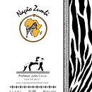 ESCUELA DE CAPOEIRA ANGOLA NAÇÃO ZUMBI. Un proyecto de Diseño, Diseño de carteles, Publicidad, Br e ing e Identidad de Samuel Martín López - 14.09.2021