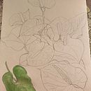 Mi Proyecto del curso: Acuarela botánica: ilustra la anatomía de las flores Ein Projekt aus dem Bereich Traditionelle Illustration, Bildende Künste, Malerei, Zeichnung, Aquarellmalerei und Botanische Illustration von CRISTINA BENAVENTE - 14.09.2021
