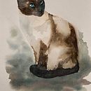 My project in Expressive Animal Portraits in Watercolor course. Un projet de Illustration traditionnelle, Aquarelle, Dessin réaliste et Illustration naturaliste de Björn Olfenius - 16.09.2021
