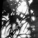 My project in Hybrid Photography for Creative Experimentation course. Een project van Fotografie, Retoucheren van foto's, Artistieke fotografie,  Analoge fotografie y Fotografische zelfportretten van Anthea Martin - 17.09.2021