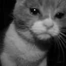 Mi Proyecto del curso: Producción y edición de vídeo con cámara DSLR y Adobe Premiere . Film, Video, TV, Producție audiovizuală, Editare video și Realizarea de filme de Lucie Beuken - 05.10.2021