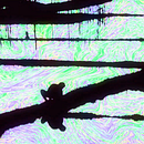 South Asian Psychedelic Animation with Photoshop and After Effects course . % Farooq Mian tarafından hazırlanan Hareketli Grafikler, Fotoğraf Post Prodüksi, Ve on projesi - 08.29.2021