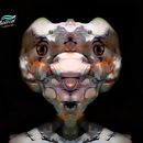 Mi pareidolia de una foto hecha un personaje , efecto espejo ( tortuga ). Character Design project by Cristian Bolton - 09.18.2021