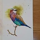 My project in Expressive Animal Portraits in Watercolor course. Un proyecto de Ilustración tradicional, Pintura a la acuarela, Dibujo realista e Ilustración naturalista				 de Pawint Eungprabhanth - 18.09.2021