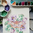Mi Proyecto del curso: Dibujo y composición naturalista en acuarela . % Mayka Mellado Díaz tarafından hazırlanan Geleneksel illüstras, on, Çizim, Sulubo, a Resim, Doğalcı İllüstras, Ve on projesi - 09.19.2021