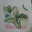 Mi Proyecto del curso: Sketchbook botánico: una aproximación meditativa. Un progetto di Illustrazione tradizionale, Bozzetti, Disegno, Pittura ad acquerello, Illustrazione botanica e Sketchbook di Carla Antar - 19.09.2021
