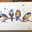 My project in Artistic Watercolor Techniques for Illustrating Birds course. Ilustração tradicional, Pintura em aquarela, Desenho realista e Ilustração naturalista projeto de Francesca Fiumara - 20.09.2021