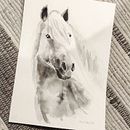 My project in Expressive Animal Portraits in Watercolor course. Un progetto di Illustrazione tradizionale, Pittura ad acquerello, Disegno realistico e Illustrazione naturalistica di caramba4u - 20.09.2021