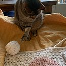Mi Proyecto del curso: Intarsia crochet: teje tus propios tapices. Decoração de interiores, Tecido, DIY, e Crochê projeto de Sabrina Bortoloso - 20.09.2021