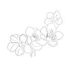 Mi Proyecto del curso: Diseño de tatuajes botánicos con Procreate. Traditional illustration, Digital Illustration, Tattoo Design, and Botanical Illustration project by Pamela Maldonado - 09.21.2021