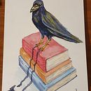 My project in Artistic Watercolor Techniques for Illustrating Birds course. Ilustração tradicional, Pintura em aquarela, Desenho realista e Ilustração naturalista projeto de Matthew Jones - 21.09.2021