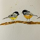 My project in Artistic Watercolor Techniques for Illustrating Birds course. Traditional illustration, Watercolor Painting, Realistic Drawing, and Naturalistic Illustration project by Mary Jarvis - 09.21.2021