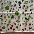 My project in Botanical Printing on Fabric and Paper course . % delamunn tarafından hazırlanan Sanat ve El Sanatları, Moda Tasarımı, Kendin Yap, Tekstil Bo, Ve ama projesi - 09.21.2021