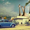 Meu projeto do curso: Colagem digital no Photoshop: composição e efeitos visuais. Un progetto di Fotografia, Collage, Ritocco fotografico, Fotografia artistica, Composizione fotografica e Fotomontaggio di Tamires Nogueira - 25.09.2021