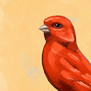 bird motif. Ilustração digital, Desenho de retrato, e Pintura digital projeto de andreh cimoins - 25.09.2021