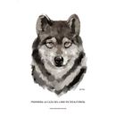 Mi Proyecto del curso: Pinceles y pixeles: introducción a la pintura digital en Photoshop. Un progetto di Illustrazione tradizionale, Illustrazione digitale, Disegno digitale e Pittura digitale di Antonio de Almeida Bittencourt - 24.09.2021