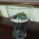 Mi Proyecto del curso: Arte vegetal: crea tu propio terrario abierto. L, scape Architecture, Decoration, Interior Design, DIY, Floral, and Plant Design project by Antia Campusano - 09.21.2021
