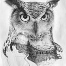 owl surrealism. Un proyecto de Dibujo a lápiz y Dibujo realista de heloísa damo - 27.09.2021