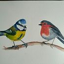 My project in Artistic Watercolor Techniques for Illustrating Birds course. Un projet de Illustration traditionnelle, Aquarelle, Dessin réaliste et Illustration naturaliste de ankabungert - 27.09.2021