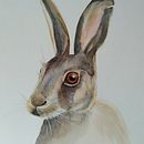 My project in Experimental Watercolor Techniques for Beginners course. Un projet de Illustration traditionnelle, Beaux Arts, Aquarelle et Illustration naturaliste de ankabungert - 27.09.2021