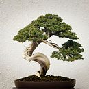 Il mio progetto del corso: Segreti del fotomontaggio e del ritocco creativo . % f_agamennoni tarafından hazırlanan Fotoğrafçılık, Fotoğraf Post Prodüksi, on, Görsel efektler, Fotoğraf Rötuşlama, Güzel Sanatlar Fotoğrafçılığı, Fotoğrafik Kompozis, on, Ve Fotomontaj projesi - 09.27.2021