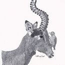 31Days31Drawings2021 . % Nhị Lý tarafından hazırlanan Sanatsal Çizim, Gerçekçi Çizim, Tasarım, Geleneksel illüstras, on, Ve Karakter Tasarımı projesi - 10.25.2021