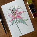 Watercolor plants. Un projet de Illustration traditionnelle, Illustration botanique, Esquisse , Dessin , et Aquarelle de Lane Goldstone - 26.09.2021