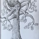My project in Surrealistic Fineliner Illustration course. Ilustração tradicional, Desenho, Desenho realista, Desenho artístico e Ilustração com tinta projeto de Ruaidhri O'Mahony - 27.09.2021