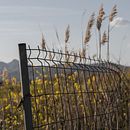 Hundimiento inminente. Ein Projekt aus dem Bereich Fotografie, Architektur, Digitalfotografie, Architektonische Fotografie, Außenfotografie und Interieurfotografie von Toribio López - 15.04.2017