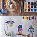 My project in Artistic Watercolor Techniques for Illustrating Birds course. Een project van Traditionele illustratie, Aquarelschilderen, Realistische tekening y Naturalistische illustratie van BENNI ASMA - 29.09.2021