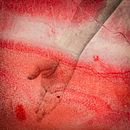 Meu projeto do curso: Fotografia híbrida para experimentação criativa. Fotografia, Retoque fotográfico, Fotografia artística, Fotografia analógica, e Autorretrato fotográfico projeto de Christiano Castro - 30.09.2021