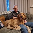 Mi Proyecto del curso: Fotografía lifestyle de perros_Cash&Miguel. Photograph, Portrait Photograph, Instagram Photograph, Documentar, Photograph, Lifest, and le Photograph project by Liliana Almeida - 09.30.2021