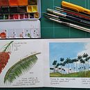Palma de cera del Quindío: Cuaderno de viaje en acuarela. Un proyecto de Ilustración tradicional, Pintura a la acuarela, Ilustración arquitectónica y Sketchbook de Sandra Amelines - 01.10.2021